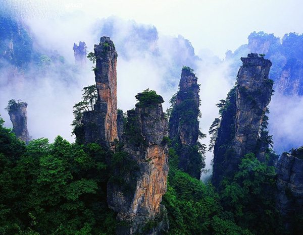 5-day Zhangjiajie Avatar Forest Park Tour